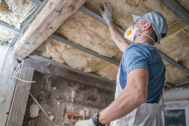Best Cellulose Insulation  in Brownsville, TX