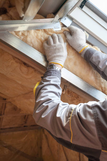 Best Spray Foam Insulation  in Brownsville, TX