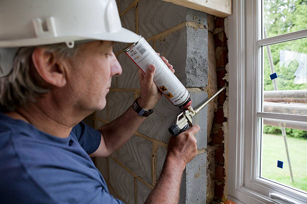 Best Attic Insulation Installation  in Brownsville, TX