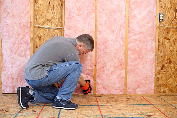 Best Wall Insulation Contractor  in Brownsville, TX