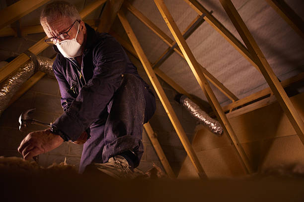 Best Affordable Insulation Services  in Brownsville, TX