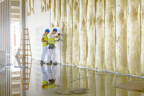 Best Soundproof Insulation Installation  in Brownsville, TX